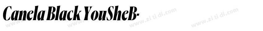 Canela Black YouSheB字体转换 Canela Black YouSheB字体转换